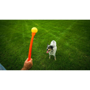 Ballwurfmaschine für Hunde Hunter Gelb Orange Gummi Bold