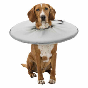 Hunde-Halskrause Trixie 19423 Grau Schaum