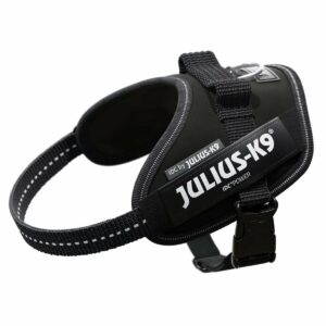 Hundegeschirr Julius K9 IDC Schwarz