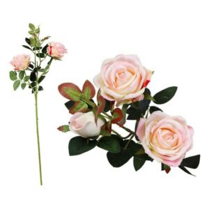 Zweig mit 5 Rosen
